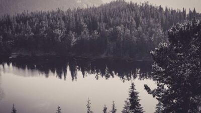 Website code and structured data markup concept